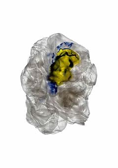 DEAN KESSMANN Have a Nice Day (from Plastic on Paper) 2006, archival pigment print, 34 x 24 inches