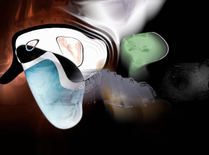 JEFFERS EGAN + JAKE MANDELL Slide Beside (from Slither) 2002, video, run time: 15:00.