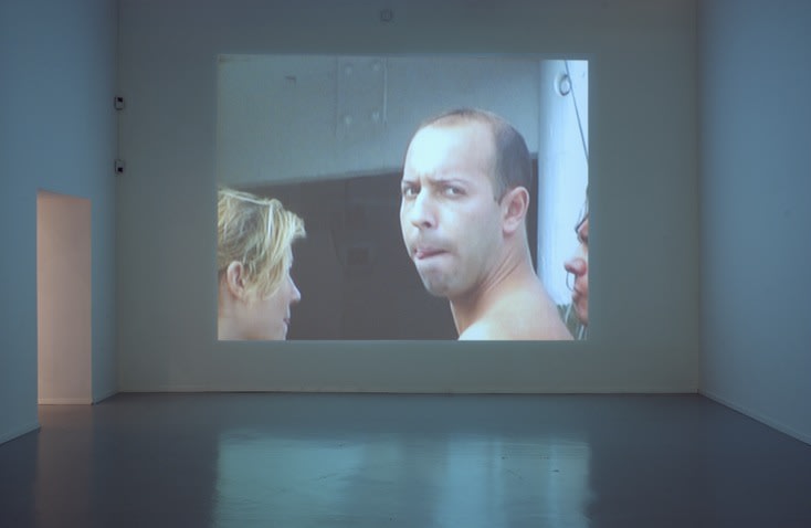 MARIA FRIBERG painted view 2003-2007, 2-channel video, run time: 2:20 and 4:50 (loop), ed:6. Installation view: Moderna Museet, Stockholm.