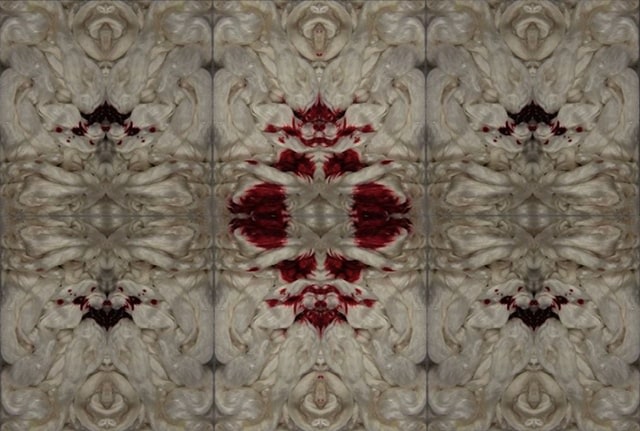 PABLO GARCIA LOPEZ Where the Wild Tulips Grow (video still) 2012, three-channel video installation, run time: 4:25