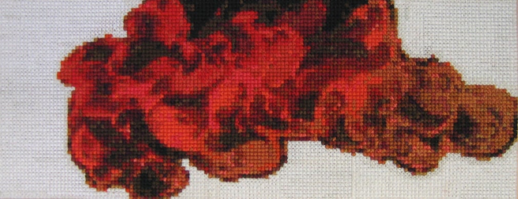 PATRICK MCDONOUGH 092904-david reed #337 2009, embroidery floss on plastic canvas, 14 x 5 1/2 inches.