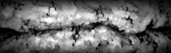 BRANDON MORSE Fissure (video still)