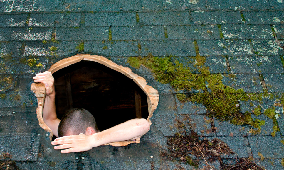 COBLE/RILEY PROJECTS Ascension/Immersion (video still)