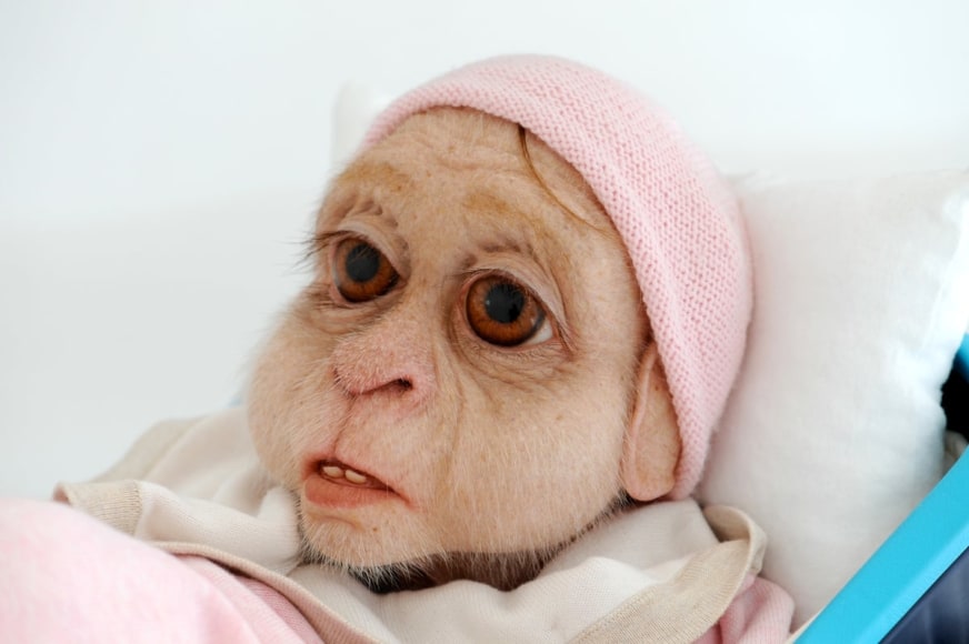 PATRICIA PICCININI Foundling (detail) 2008, silicone, human hair, polyester, nylon, wool, glass, plastic, 26 x 16 x 14.5 inches