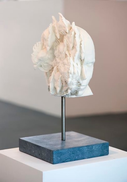 KOEN VANMECHELEN Symbiosis - C.C.P 2011, selective lasersintering (polyamide), wood, stainless steel, 19.75 x 10 x 10 inches.