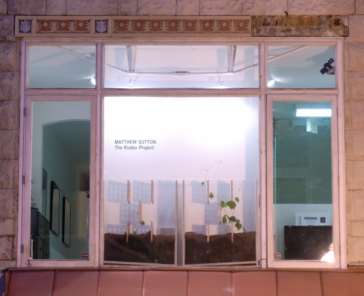 MATTHEW SUTTON The Kudzu Project March 2007. Installation view: Conner Contemporary Art.