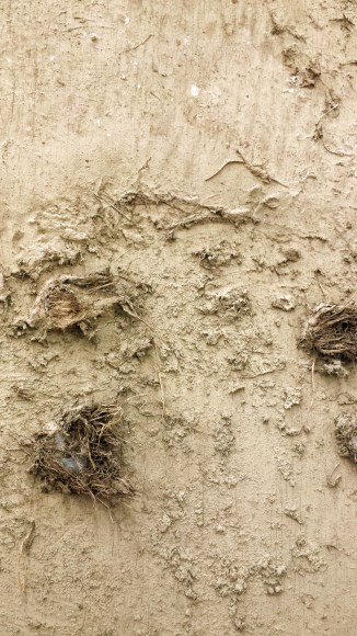 J.J. McCRACKEN  Thirst, and the Martyr (panel, detail)  2013, panel with mud