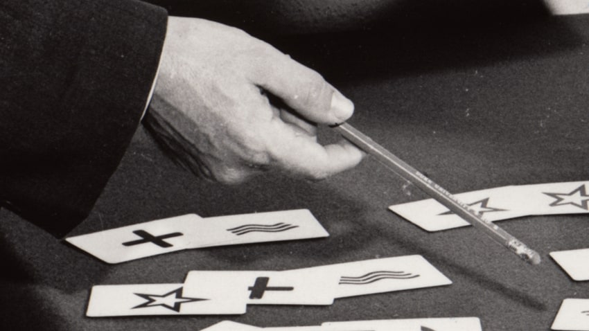 SUSAN MACWILLIAM An Answer is Expected (video still)