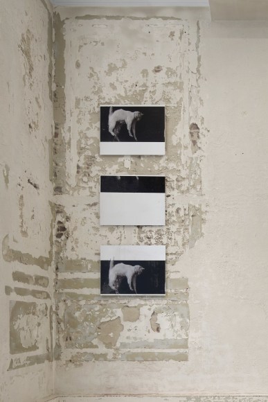 Installation view of David Moy, Double Negative, Nino Mier Gallery, Brussels, June 13 – July 19, 2025
