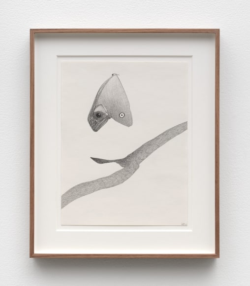 Nicola Tyson Bow Down, 2022 Graphite on paper 16 1/8 x 13 1/2 x 1 1/2 in (framed) 41 x 34.1 x 3.8 cm (framed) (NTY22.021)