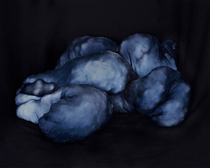 Polly Borland Morph 15, 2018 Archival pigment print 64 x 78.75 in, paper size 162.5 x 200 cm, paper size Edition of 6 plus 3 artist's proofs (POB18.004)