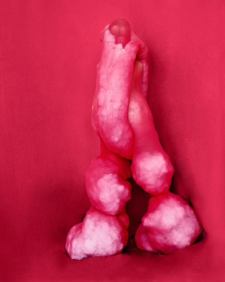 Polly Borland Morph 2, 2018 Archival pigment print 78.75 x 64 in, paper size 200 x 162.5 cm, paper size Edition of 6 plus 3 artist's proofs (PBO18.008)