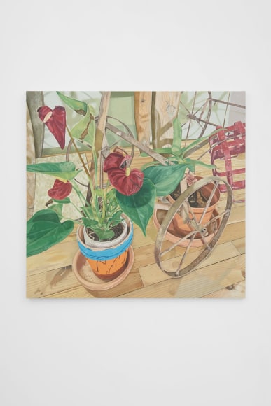 Michael Cline Anthurium, 2022 Oil on linen 34 x 36 in 86.4 x 91.4 cm (MCL22.001)