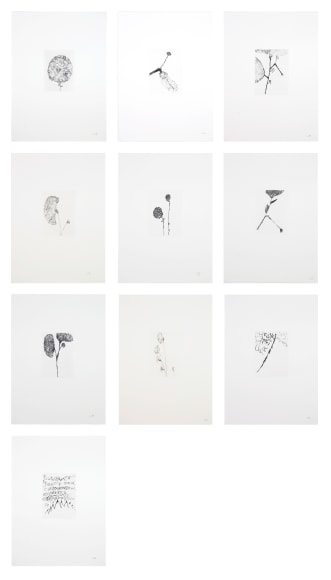 Etchings for Homely Girl, A Life, 1992