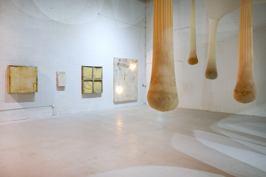 Installation view: Lawrence Carroll, Ernesto Neto