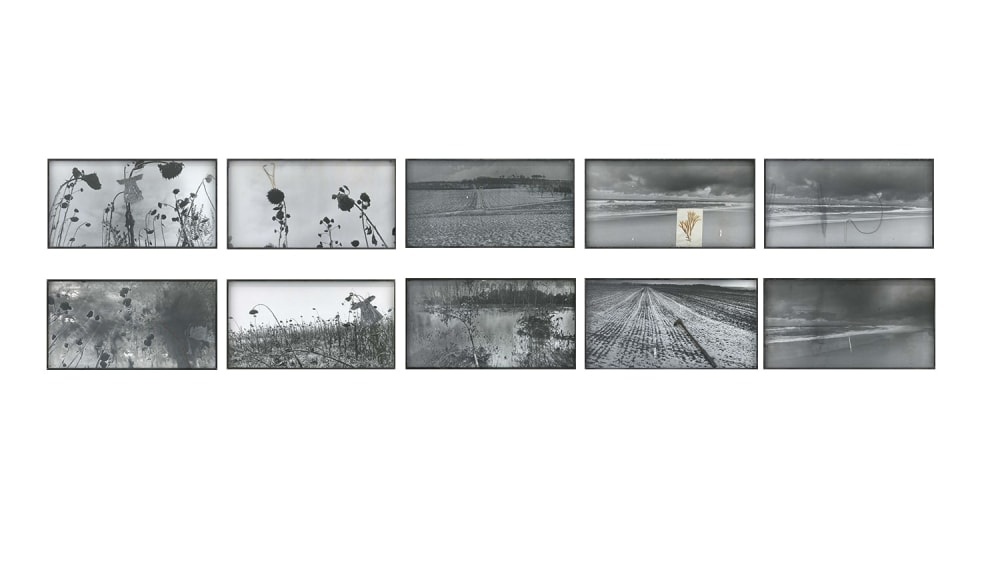 ANSELM KIEFER / Leviathan und Behemoth (2 x 5 Aufnahmen), 2013