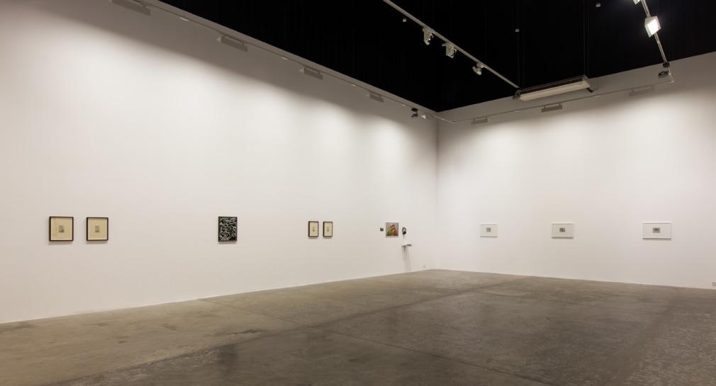 A Permanent Record For Future Investigation, Installation at Green Art Gallery, Dubai, 2012