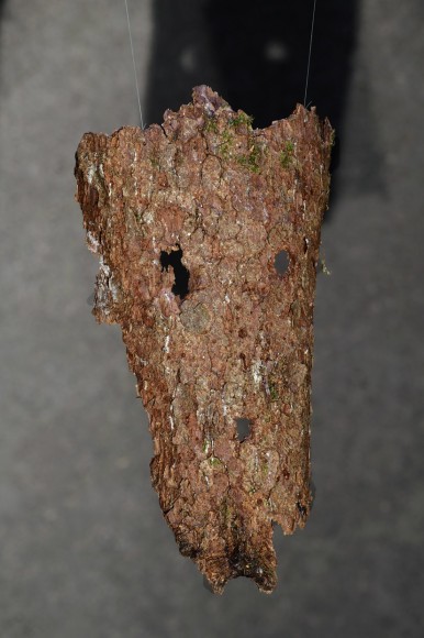 Hera&nbsp;B&uuml;y&uuml;ktaşcıyan, Dendrologia (detail), 2023