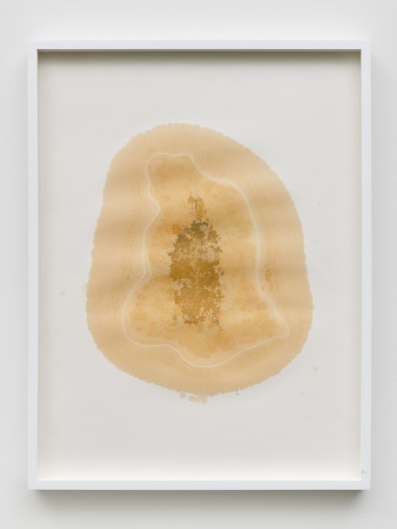 Yazid Oulab, Les Orants Habit&eacute;s Par Leur Espace No.I, 1998, Plant oil and graphite Bristol paper, 58 x 44 cm