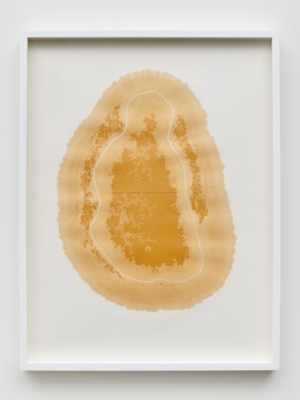 Yazid Oulab, Les Orants Habit&eacute;s Par Leur Espace No.V, 1998, Plant oil and graphite Bristol paper, 58 x 44 cm