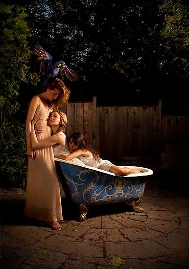 Nazif Top&ccedil;uoğlu, Norwegian Blue Wood, 2012, C-print, Edition of 5, 120 x 170 cm