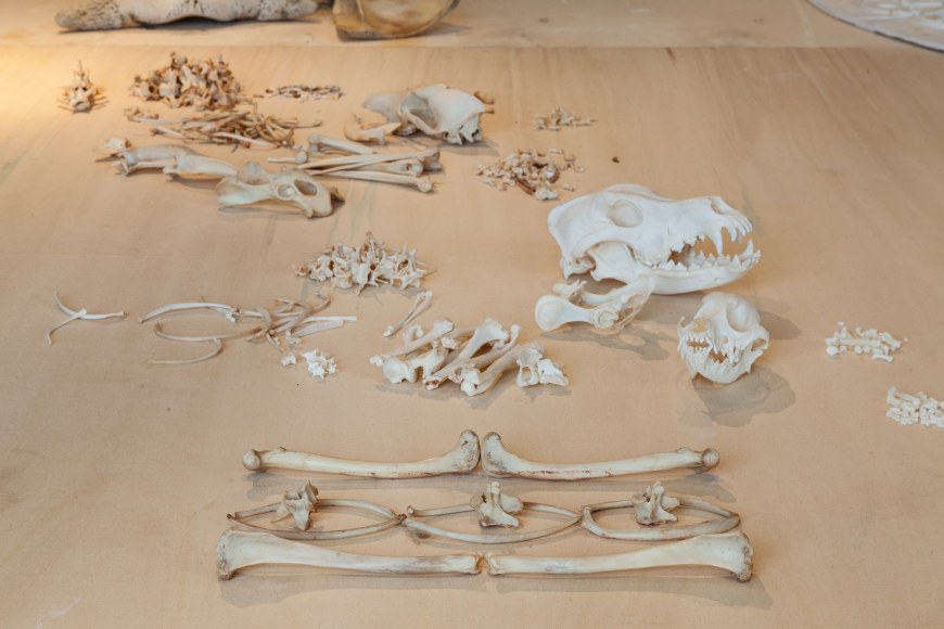 Michael Rakowitz,&nbsp;The Flesh Is Yours, The Bones Are Ours, 2015, Installation view at&nbsp;Galata Greek Primary School, 14th Istanbul Biennial, Turkey, 2015