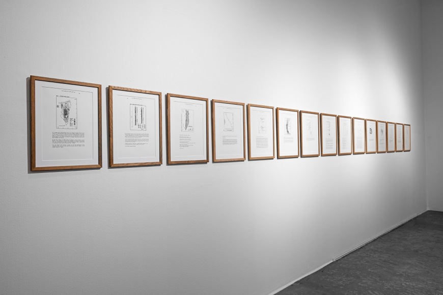 Nasser Alzayani, Watering the distant, deserting the near (detail), 2016-ongoing