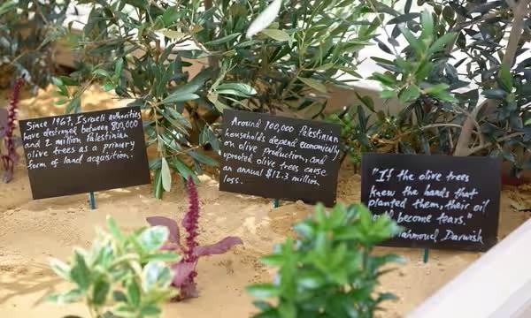 Michael Rakowitz: The Waiting Gardens of the North, Installation view at Baltic Centre for Contemporary Art, Gateshead, UK, 2023