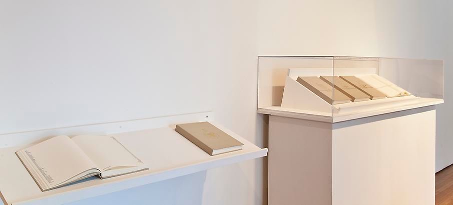 Nazgol Ansarinia, NSS book series, 2008