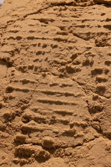 Nasser Alzayani, Watering the distant, deserting the near (detail), 2016-ongoing