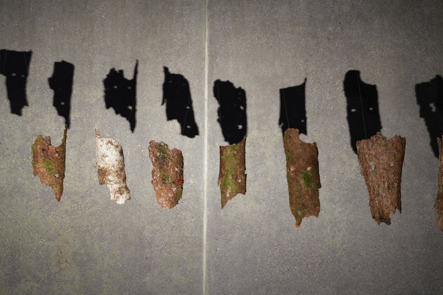 Hera&nbsp;B&uuml;y&uuml;ktaşcıyan, Dendrologia (detail), 2023