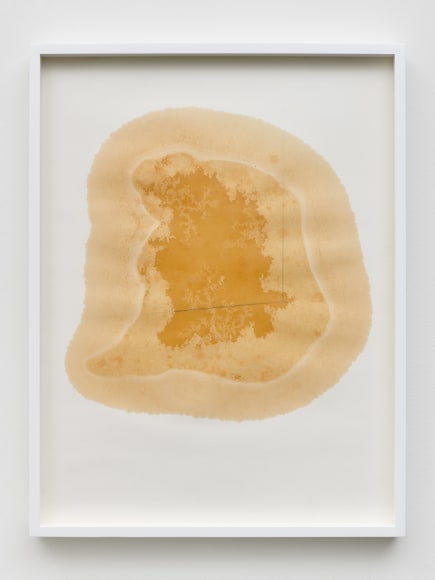 Yazid Oulab, Les Orants Habit&eacute;s Par Leur Espace No.II, 1998, Plant oil and graphite Bristol paper, 58 x 44 cm