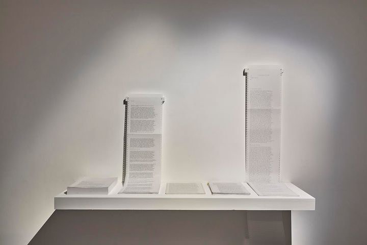 Rossella Biscotti, The Trial, 2010&ndash;2013, Installation view at&nbsp;Villa Arson, Nice, France, 2022