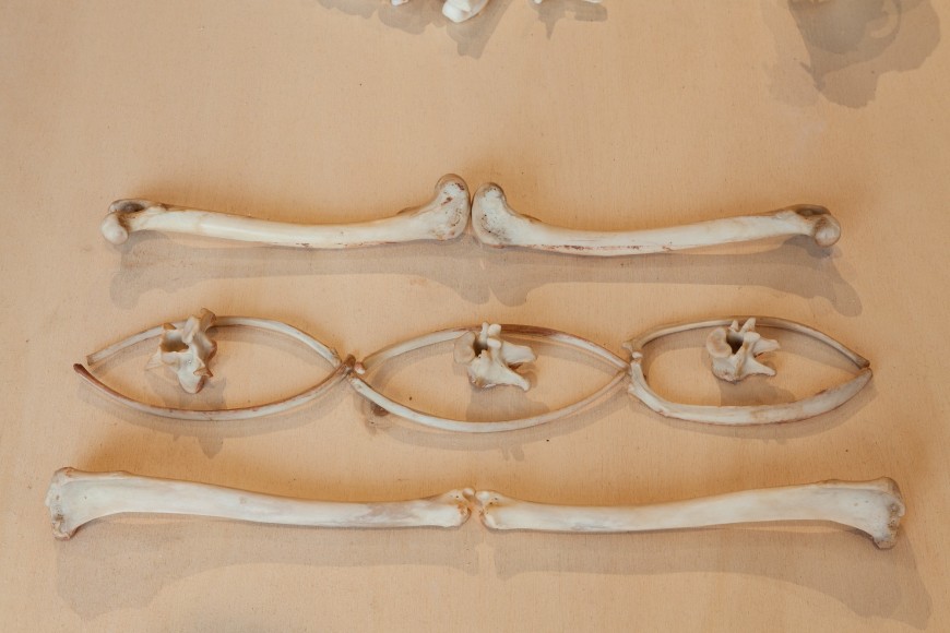 Michael Rakowitz,&nbsp;The Flesh Is Yours, The Bones Are Ours, 2015, Installation view at&nbsp;Galata Greek Primary School, 14th Istanbul Biennial, Turkey, 2015