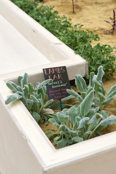 Michael Rakowitz: The Waiting Gardens of the North, Installation view at Baltic Centre for Contemporary Art, Gateshead, UK, 2023