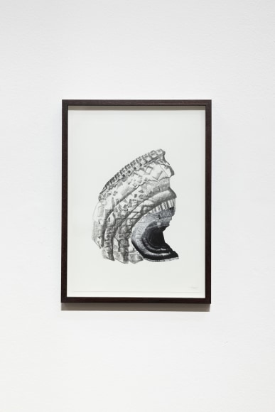Hera B&uuml;y&uuml;ktaşciyan, Soma Vol I, 2022, Graphite drawing and collage with archival print on paper, 42 x 29.5 cm