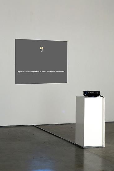 Evacuated Containers, Shadi Habib Allah, Installation view at Green Art&nbsp;Gallery, 2013