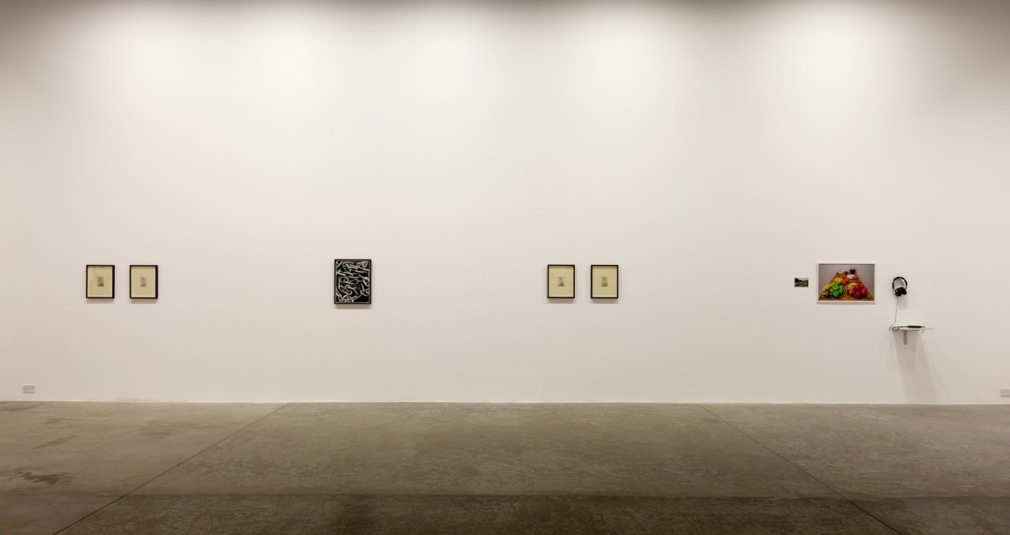 A Permanent Record For Future Investigation, Installation at Green Art Gallery, Dubai, 2012