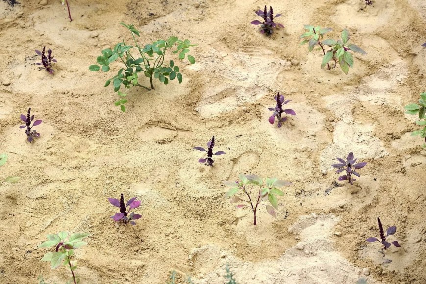 Michael Rakowitz: The Waiting Gardens of the North, Installation view at Baltic Centre for Contemporary Art, Gateshead, UK, 2023