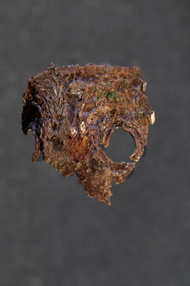 Hera&nbsp;B&uuml;y&uuml;ktaşcıyan, Dendrologia (detail), 2023