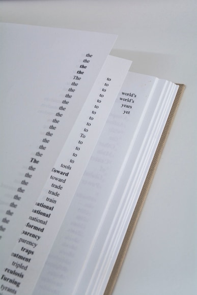 Nazgol Ansarinia,&nbsp;NSS Book Series (detail), 2008