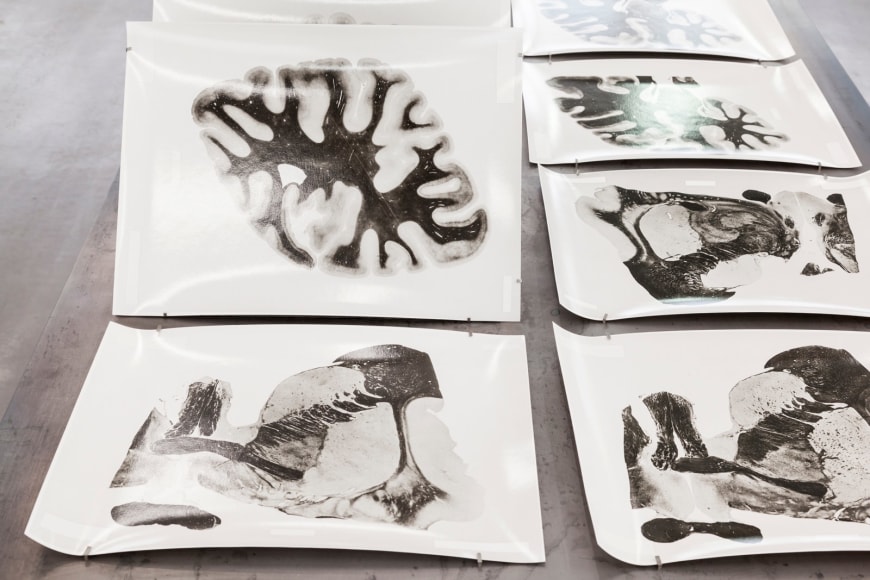 Rossella Biscotti, 168 Sections of a Human Brain (detail), 2010 - 2014