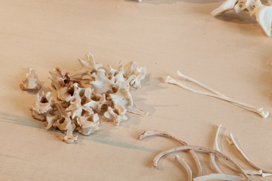 Michael Rakowitz,&nbsp;The Flesh Is Yours, The Bones Are Ours, 2015, Installation view at&nbsp;Galata Greek Primary School, 14th Istanbul Biennial, Turkey, 2015