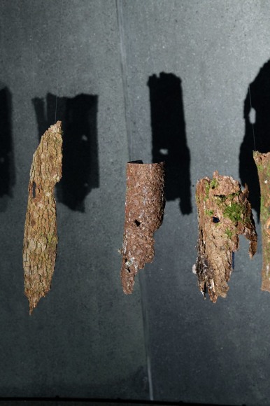 Hera&nbsp;B&uuml;y&uuml;ktaşcıyan, Dendrologia (detail), 2023