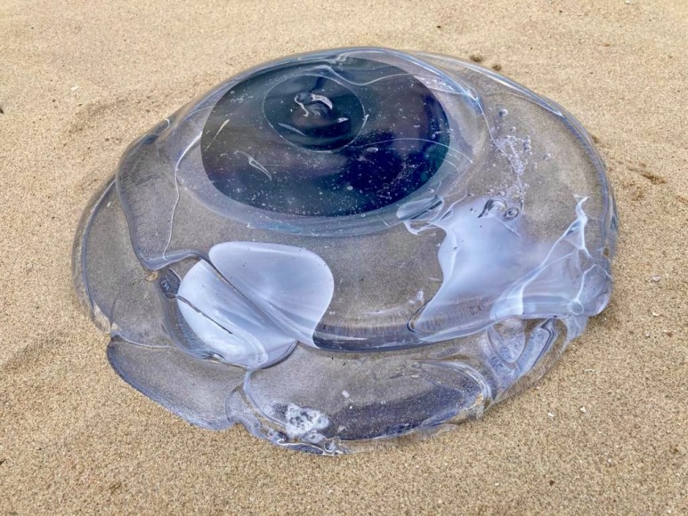 Rossella Biscotti, Stranded, 2021, Installation on Bredene Beach for Beaufort Triennale, Belgium, 2021
