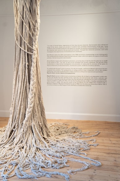 Beyond: Emerging Artists, Installation view at Cromwell Place, London, UK, 2021