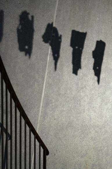 Hera&nbsp;B&uuml;y&uuml;ktaşcıyan, Dendrologia (detail), 2023