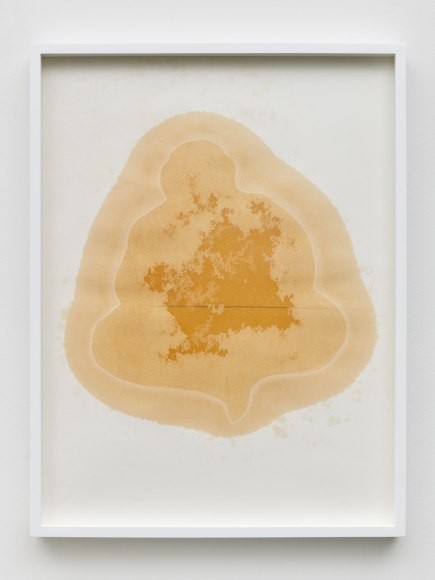 Yazid Oulab, Les Orants Habit&eacute;s Par Leur Espace No.III, 1998, Plant oil and graphite Bristol paper, 58 x 44 cm
