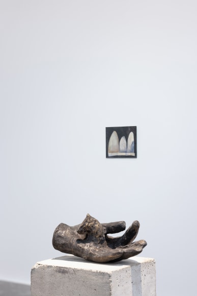 Ana Mazzei: How to Dispappear, Installation view at Green Art Gallery, Dubai, 2024