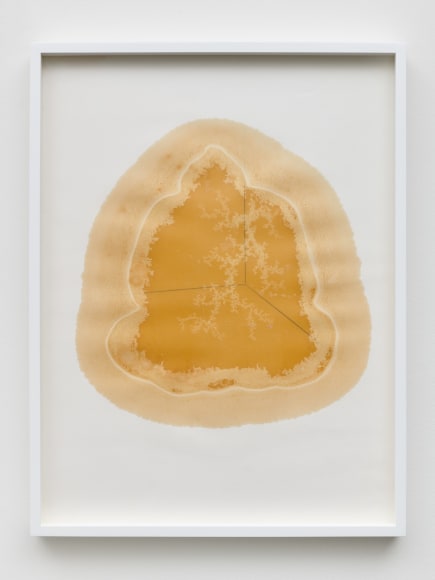 Yazid Oulab, Les Orants Habit&eacute;s Par Leur Espace No.VI, 1998, Plant oil and graphite Bristol paper, 58 x 44 cm